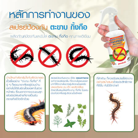 สเปรย์สมุนไพรไล่ตะขาบ แมงป่อง กิ้งกือ SMARTNOW 250 มล._3