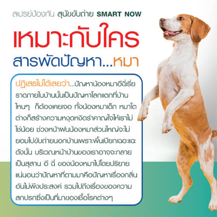 สเปรย์สมุนไพรป้องกันสุนัขและแมวขับถ่าย SMARTNOW 250 มล._4