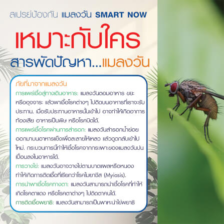 สเปรย์สมุนไพรไล่แมลงวัน SMARTNOW 250 มล._4