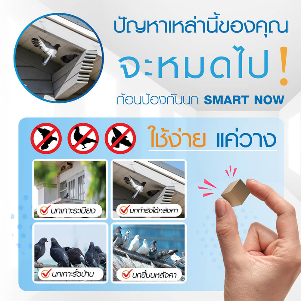 ก้อนป้องกันนก SMARTNOW บรรจุ 30 ก้อน/กระปุก_1