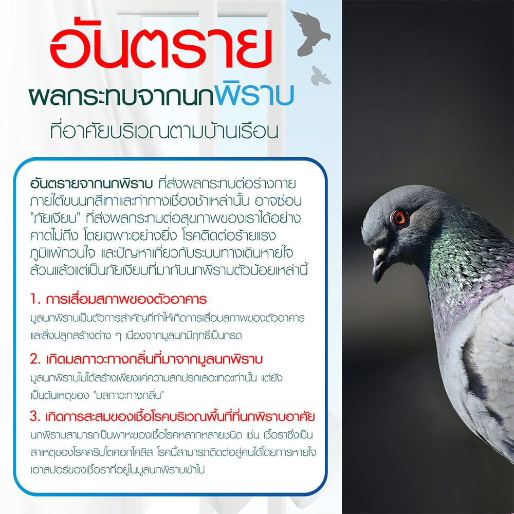 ก้อนป้องกันนก SMARTNOW บรรจุ 30 ก้อน/กระปุก_4