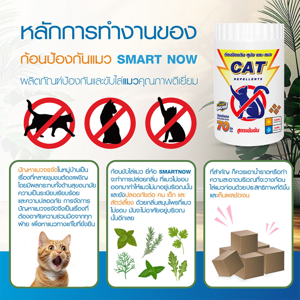ก้อนป้องกันแมว SMARTNOW บรรจุ 30 ก้อน/กระปุก