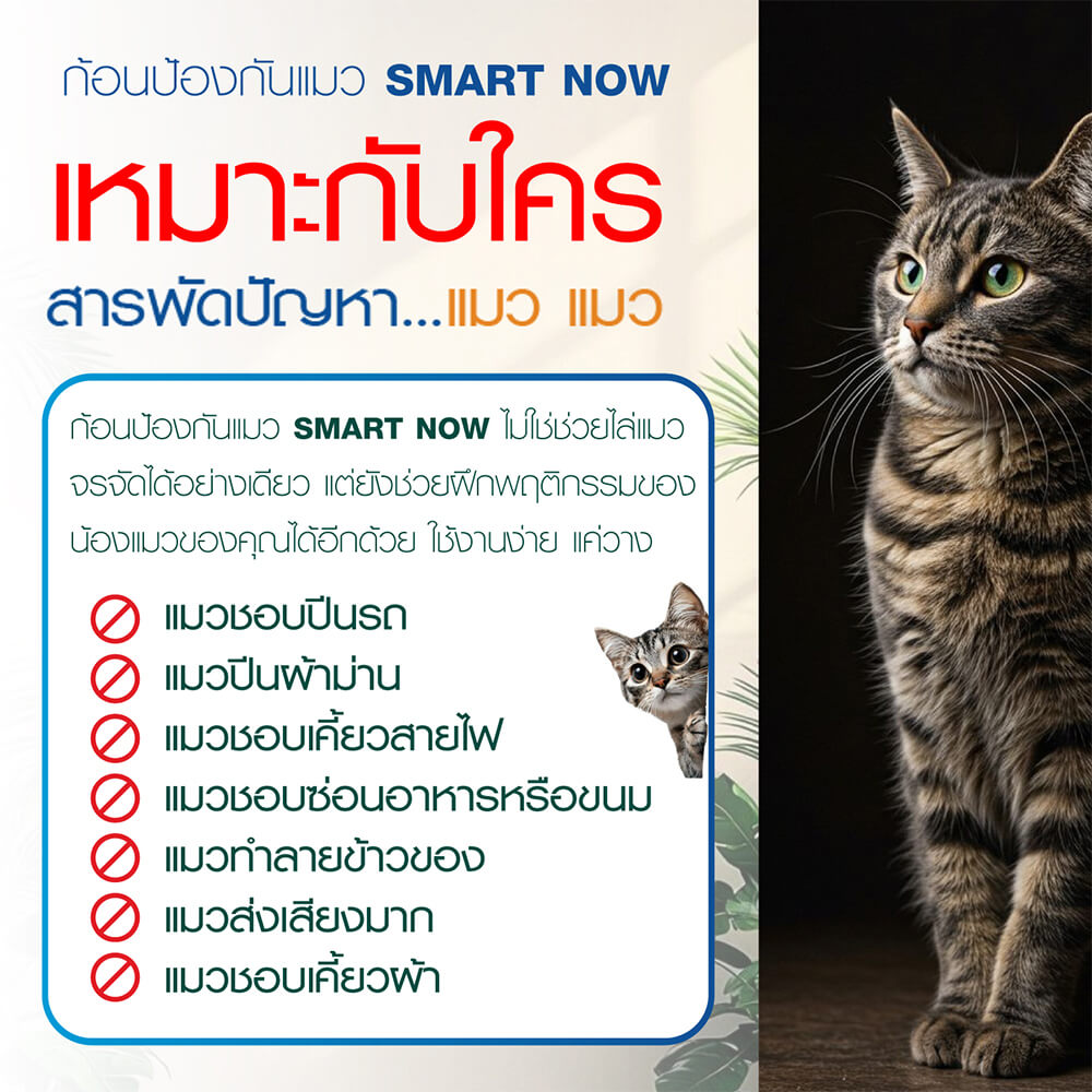 ก้อนป้องกันแมว SMARTNOW บรรจุ 30 ก้อน/กระปุก