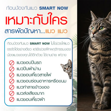 ก้อนป้องกันแมว SMARTNOW บรรจุ 30 ก้อน/กระปุก_4