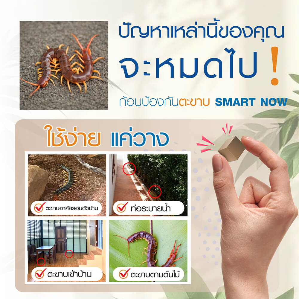 ก้อนป้องกันตะขาบ SMARTNOW บรรจุ 30 ก้อน/กระปุก