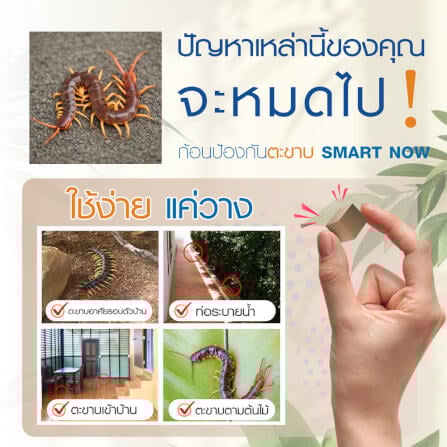 ก้อนป้องกันตะขาบ SMARTNOW บรรจุ 30 ก้อน/กระปุก_1