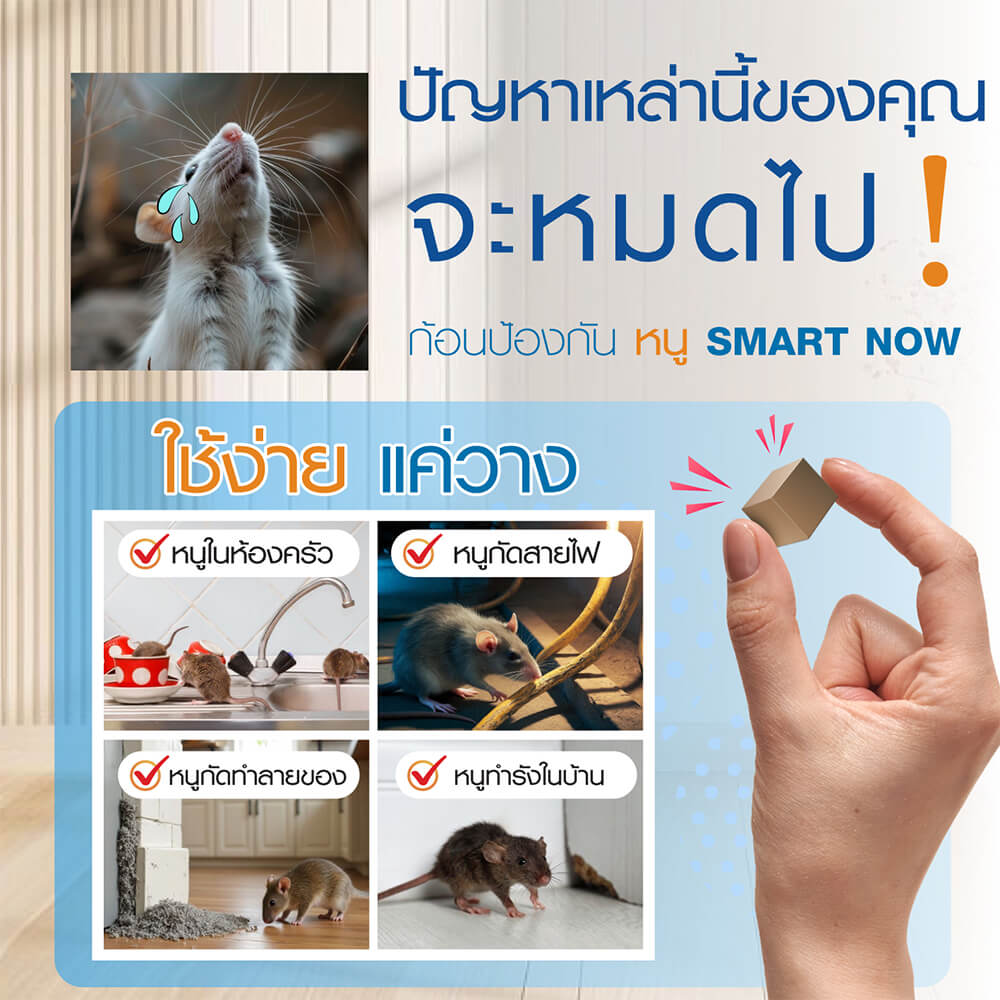 ก้อนป้องกันหนู SMARTNOW บรรจุ 30 ก้อน/กระปุก_1