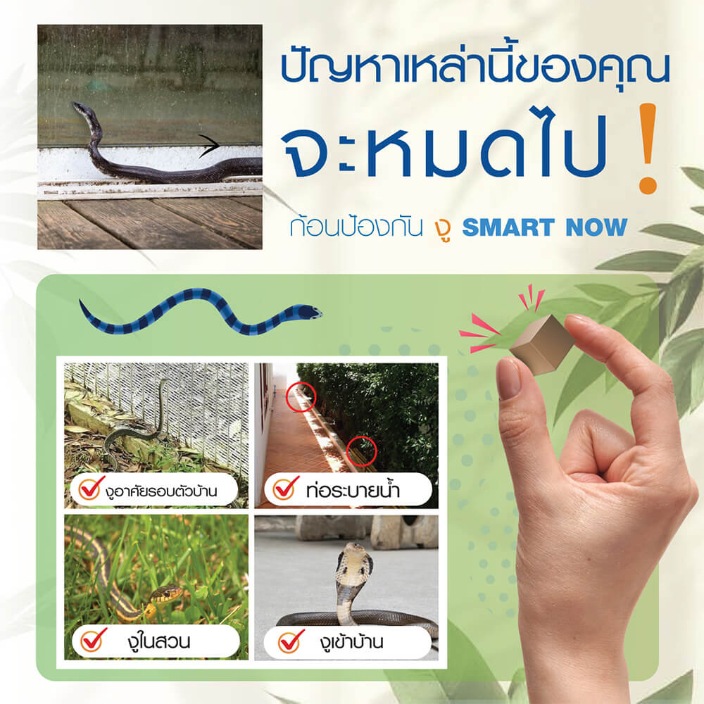 ก้อนป้องกันงู SMARTNOW บรรจุ 30 ก้อน_1
