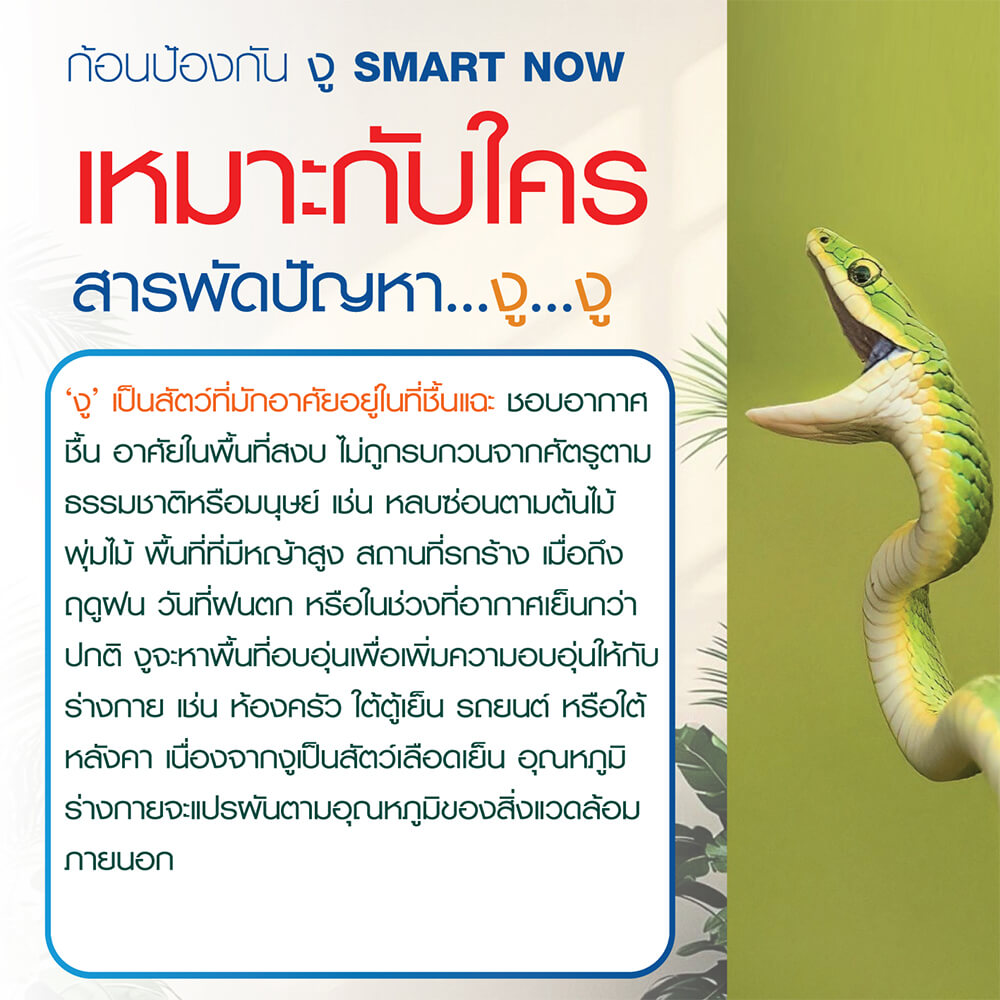 ก้อนป้องกันงู SMARTNOW บรรจุ 30 ก้อน_4