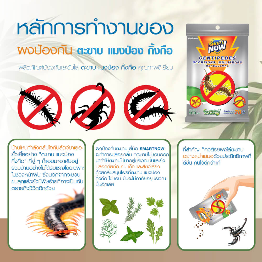 ผงสมุนไพรไล่ตะขาบ แมงป่อง กิ้งกือ SMARTNOW 100 กรัม_3