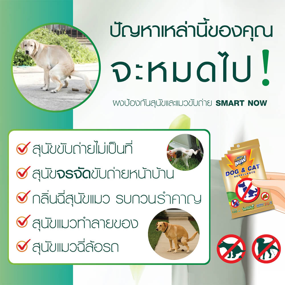 ผงสมุนไพรป้องกันสุนัขและแมวขับถ่าย SMARTNOW 100 กรัม_1