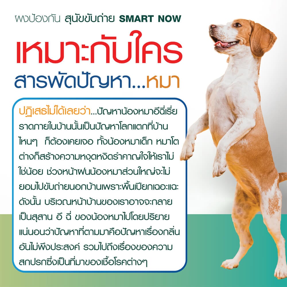 ผงสมุนไพรป้องกันสุนัขและแมวขับถ่าย SMARTNOW 100 กรัม_4