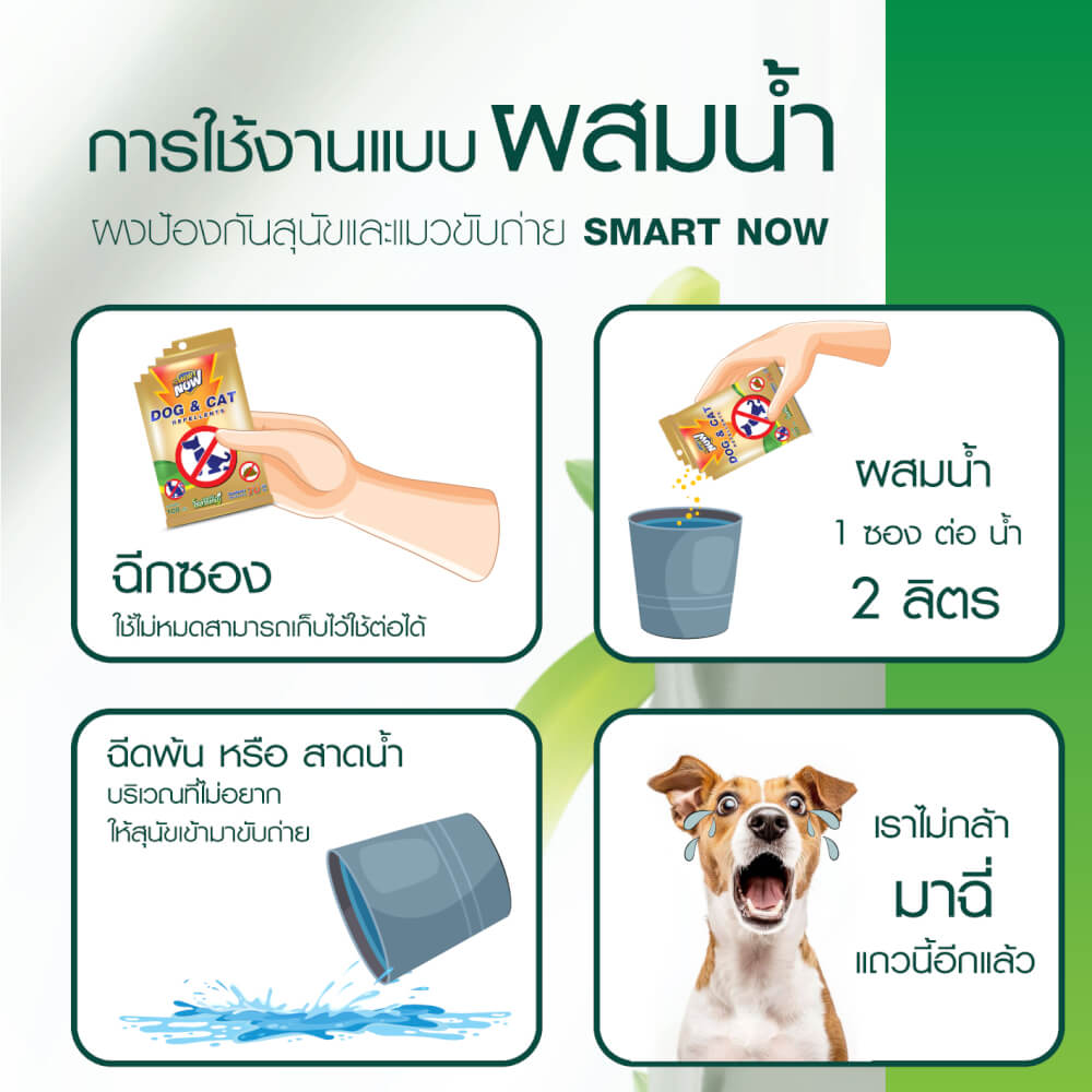 ผงสมุนไพรป้องกันสุนัขและแมวขับถ่าย SMARTNOW 100 กรัม_3