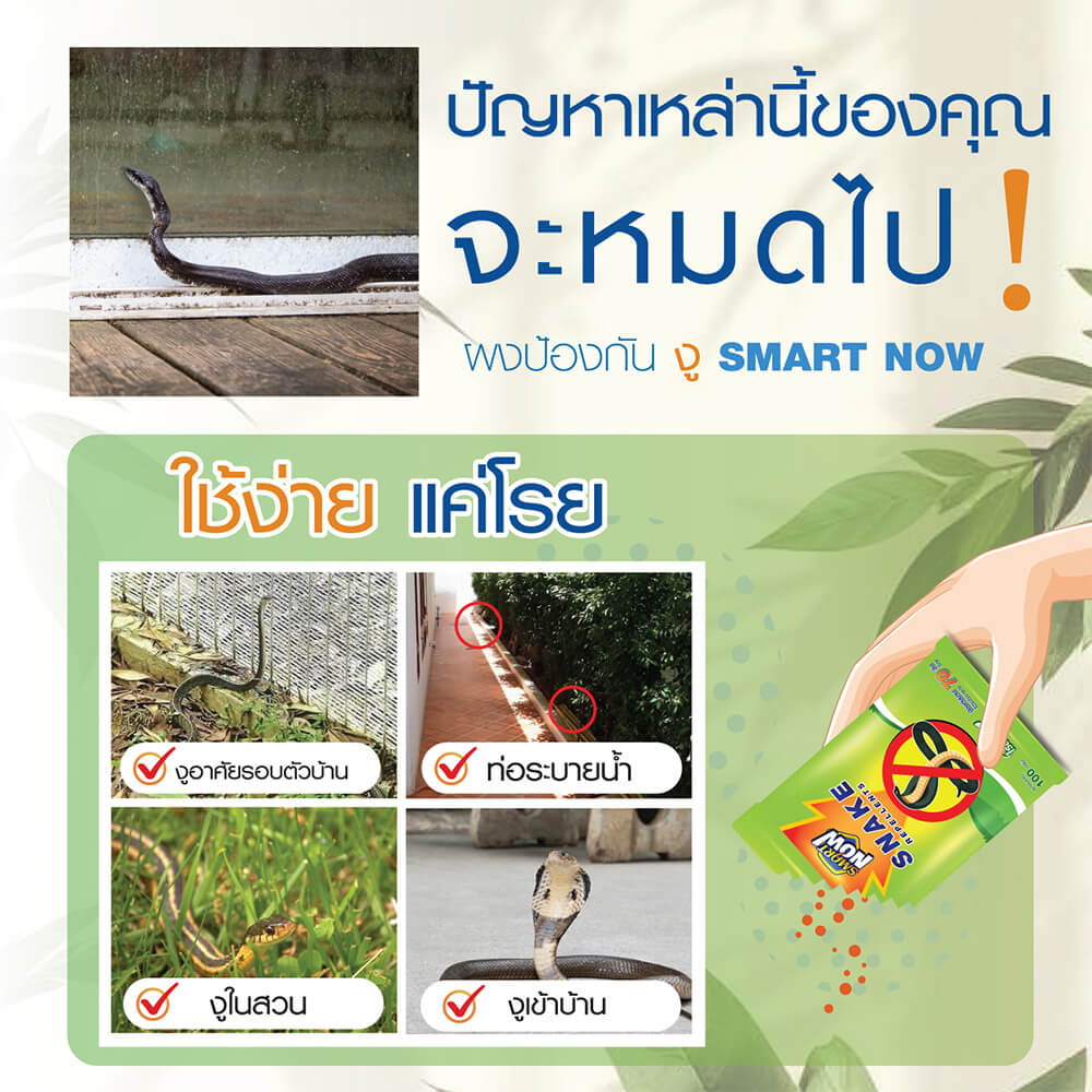 ผงสมุนไพรป้องกันงู SMARTNOW 100 กรัม_1