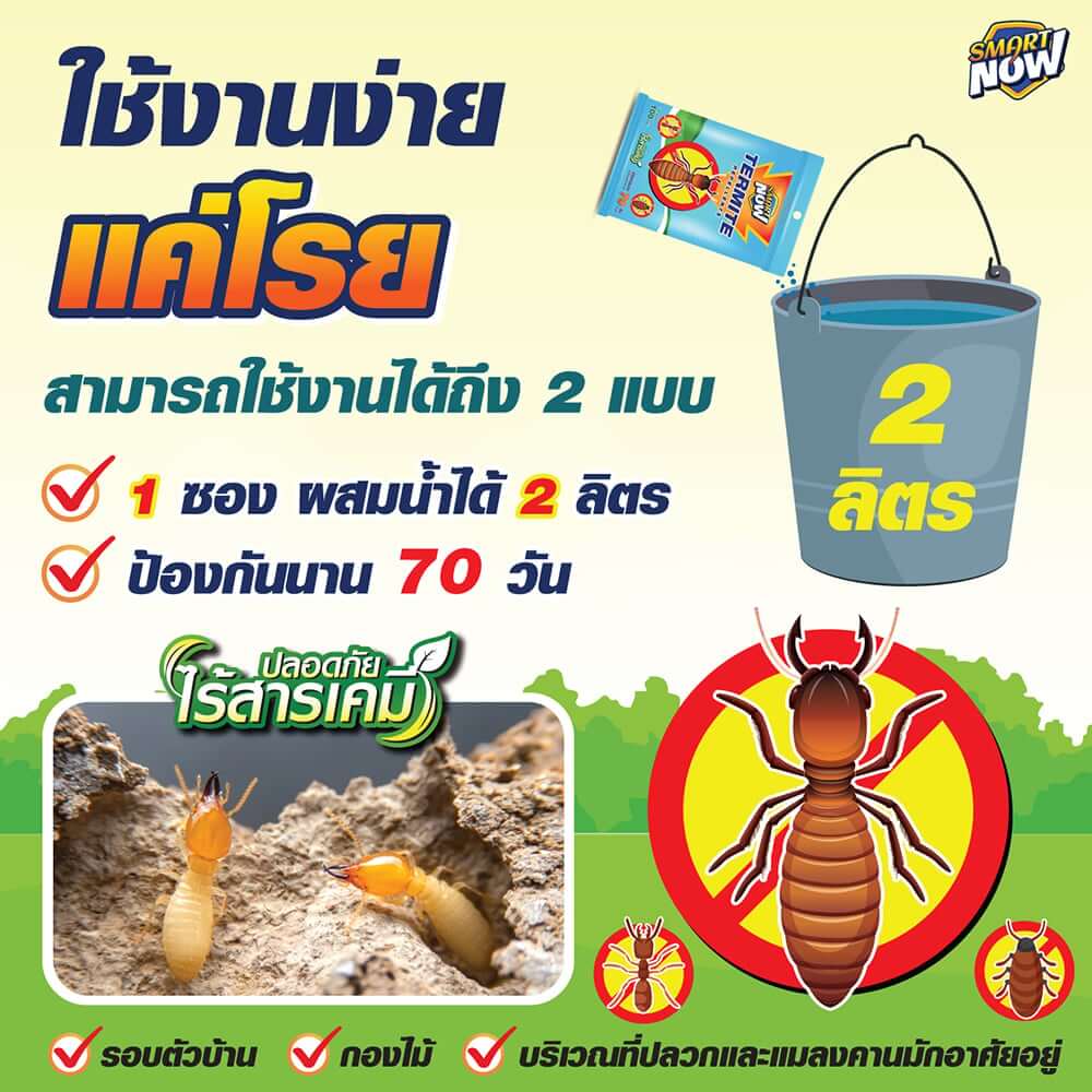 ผงกำจัดปลวกและแมลงคลาน SMARTNOW 100 กรัม_1