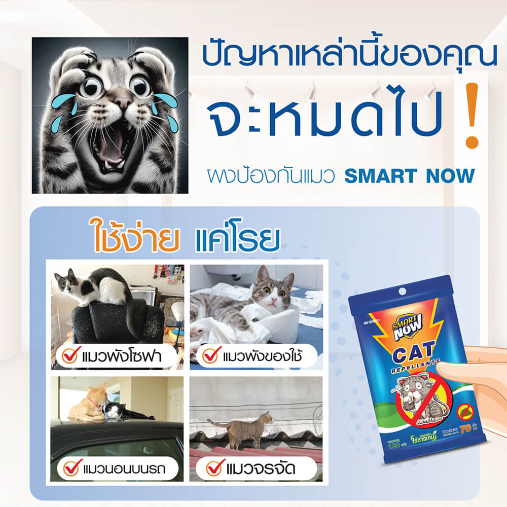 ผงป้องกันแมว SMARTNOW ใช้งานได้ทั้งแบบผงและแบบผสมน้ำ ขนาด 100 กรัม_1