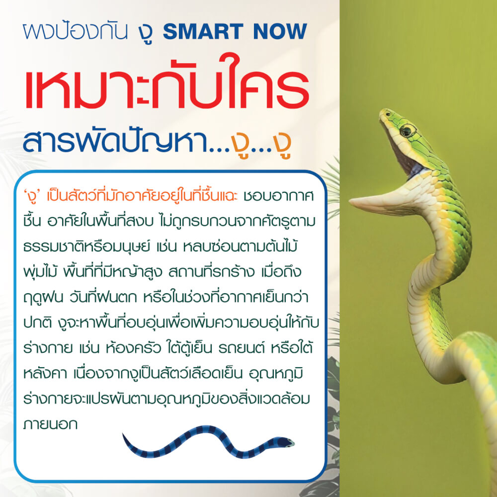 ผงสมุนไพรป้องกันงู SMARTNOW 100 กรัม_4