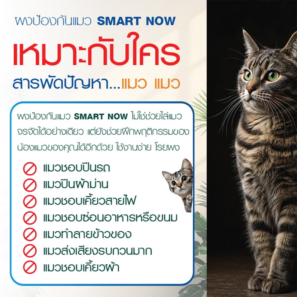 ผงป้องกันแมว SMARTNOW ใช้งานได้ทั้งแบบผงและแบบผสมน้ำ ขนาด 100 กรัม_4