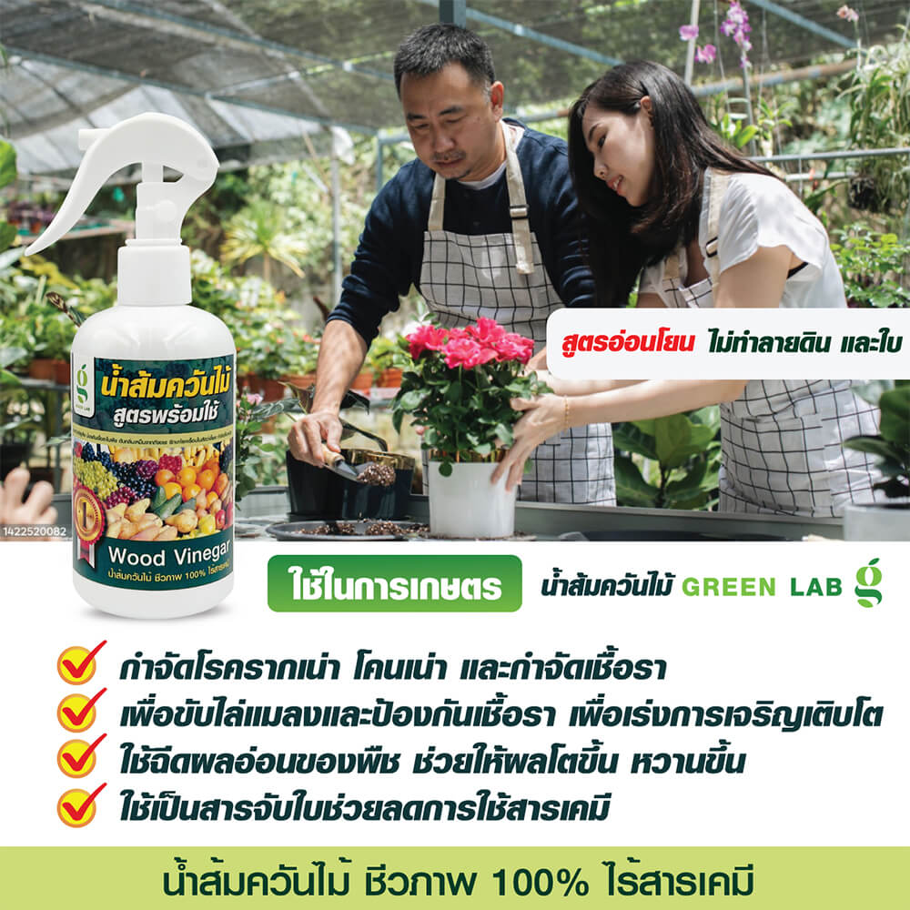 สเปรย์น้ำส้มควันไม้กำจัดแมลง SMARTNOW สูตรพร้อมใช้ น้ำส้มควันไม้แท้ 100% ขนาด 250 มล_2