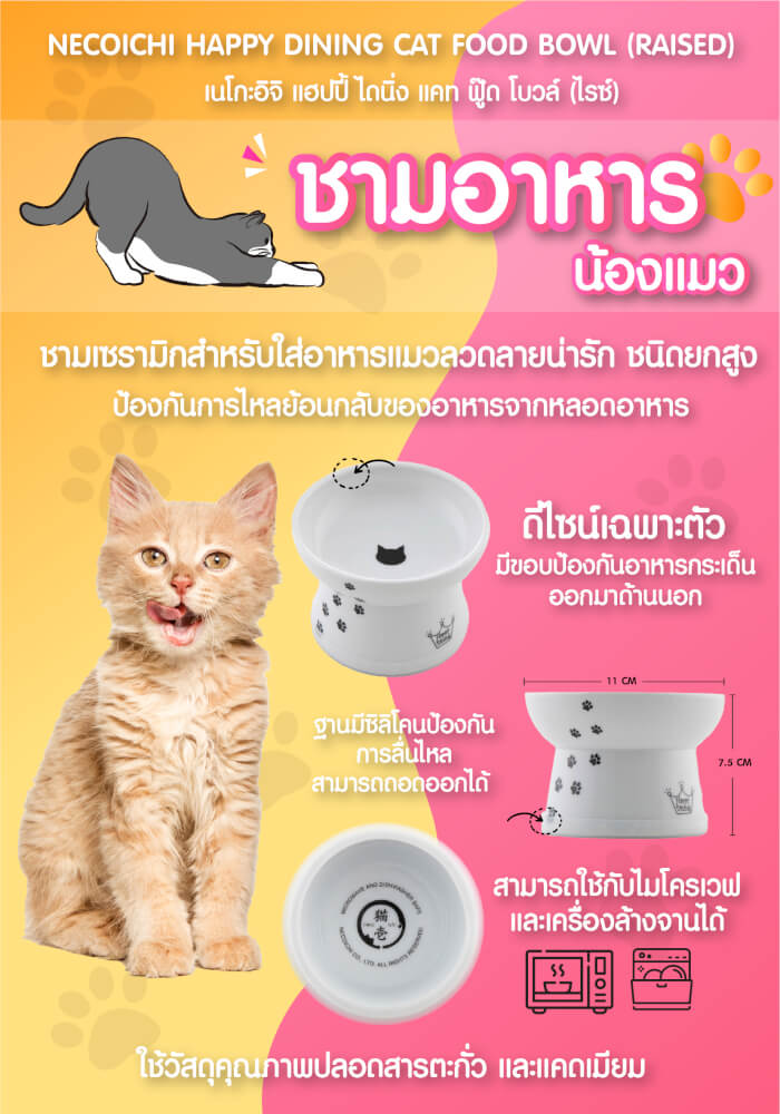 ชามเซรามิกใส่อาหารแมว (ชนิดยกสูง) NECOICHI สีขาว_4