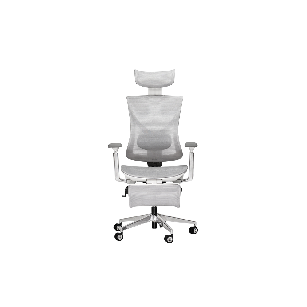 เก้าอี้ทำงาน เก้าอี้สุขภาพ ERGONOZ EGN-THORA-G สีเทา (THORA PROFESSIONAL ERGONOMIC CHAIR)