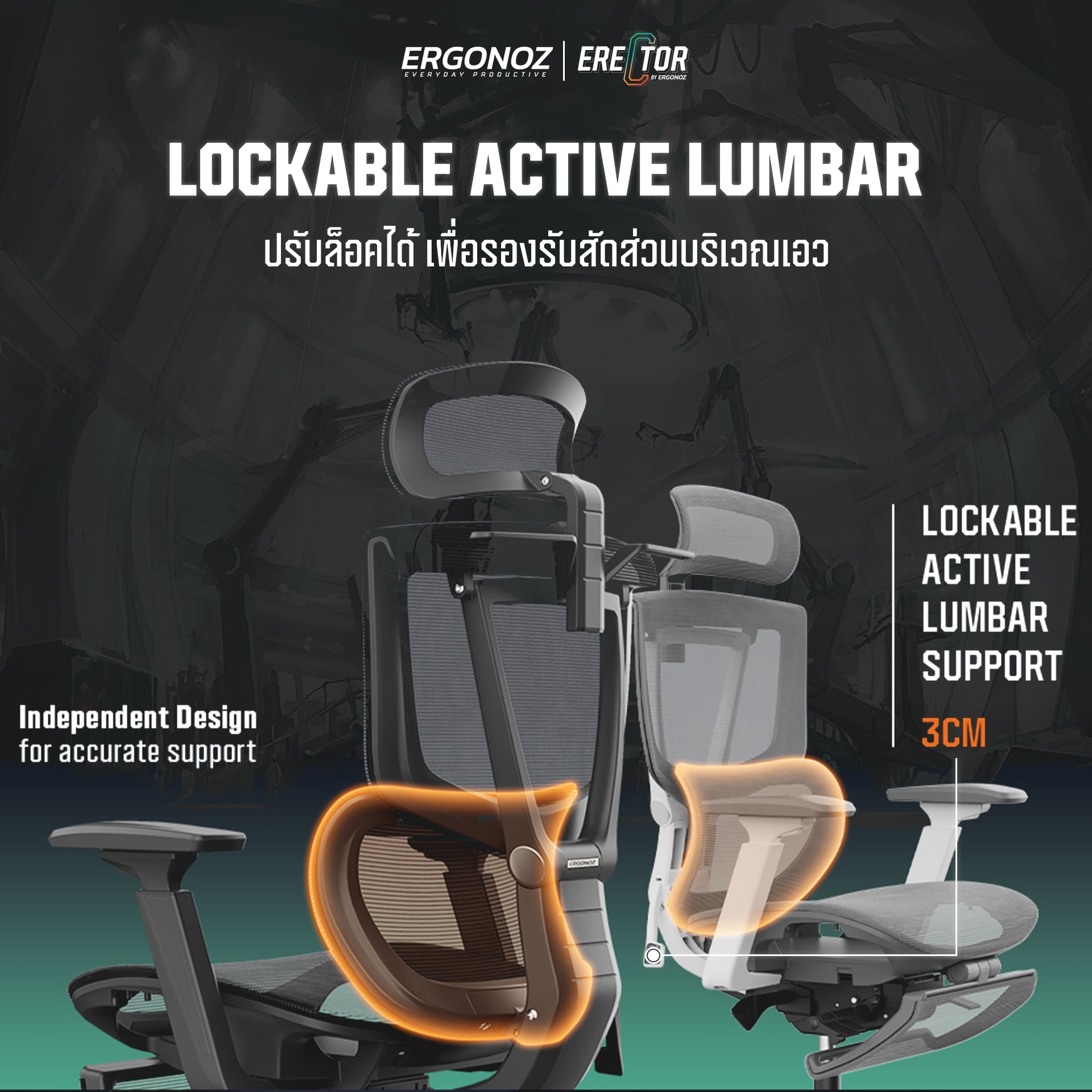 เก้าอี้ทำงาน เก้าอี้สุขภาพ ERGONOZ EGN-ERECTOR-B สีดำ ไม่มีที่พักเท้า (ERECTOR ACTIVE LUMBAR ERGONOMIC CHAIR)_7