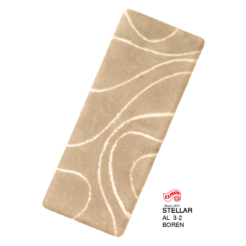 พรมเช็ดเท้ายาว EXPRESS CARPET รุ่น AL3-2 ขนาด50X120 ซม. หนา 18-23 มม. สีน้ำตาล _0