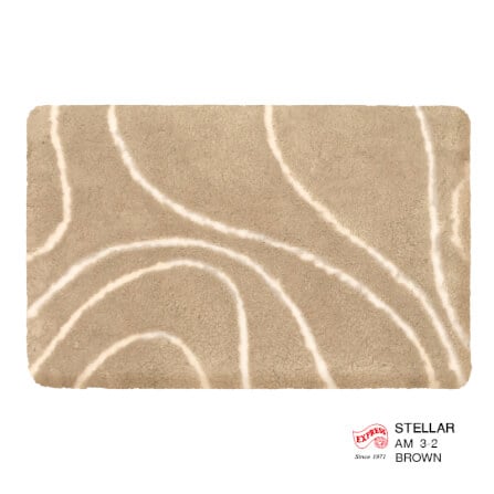 พรมเช็ดเท้าหน้าประตู EXPRESS CARPET รุ่น AM3-2 ขนาด45X70 ซม. หนา 18-23 มม. สีน้ำตาล _0