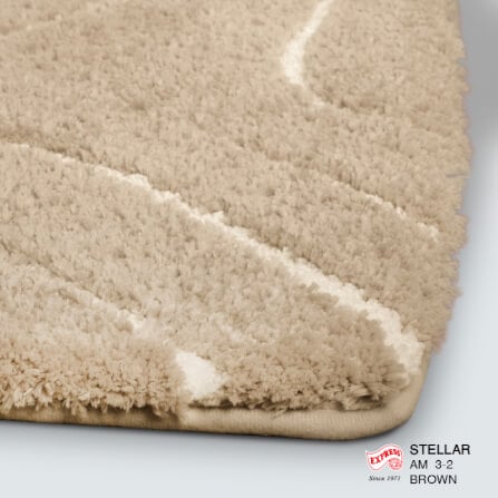 พรมเช็ดเท้าหน้าประตู EXPRESS CARPET รุ่น AM3-2 ขนาด45X70 ซม. หนา 18-23 มม. สีน้ำตาล _2