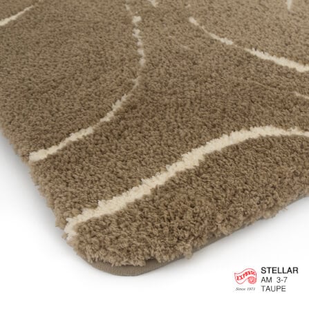 พรมเช็ดเท้าหน้าประตู EXPRESS CARPET รุ่น AM3-7 ขนาด45X70 ซม. หนา 18-23 มม. สีโทป _2