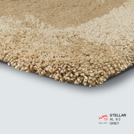 พรมเช็ดเท้าหน้าประตู EXPRESS CARPET รุ่น AM4-2 ขนาด45X70 ซม. หนา 20-30 มม. สีน้ำตาล _2