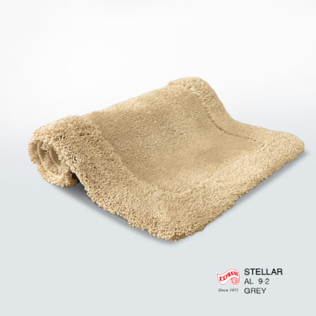 พรมเช็ดเท้าหน้าประตู EXPRESS CARPET รุ่น AM4-2 ขนาด45X70 ซม. หนา 20-30 มม. สีน้ำตาล _3