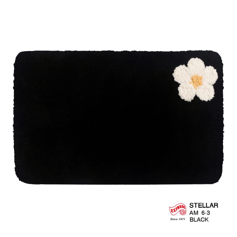 พรมเช็ดเท้าหน้าประตู EXPRESS CARPET รุ่น AM6-3 ขนาด45X70 ซม. หนา 20 มม. สีดำ 