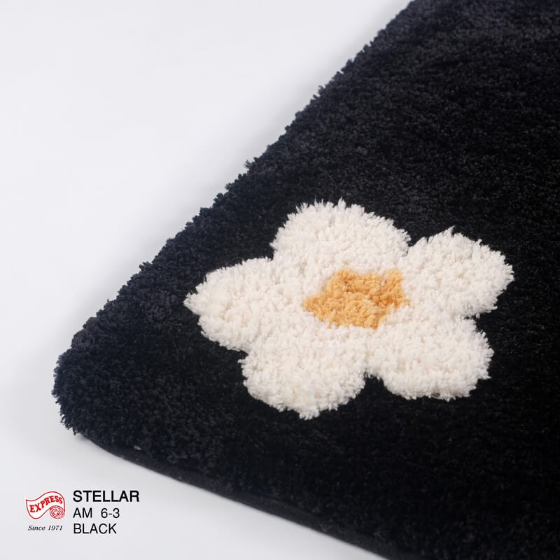 พรมเช็ดเท้าหน้าประตู EXPRESS CARPET รุ่น AM6-3 ขนาด45X70 ซม. หนา 20 มม. สีดำ 