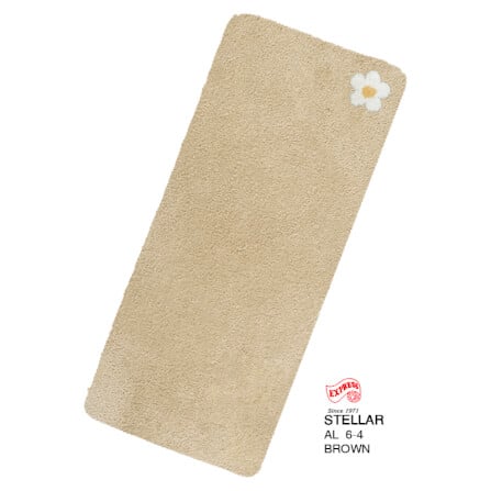 พรมเช็ดเท้ายาว EXPRESS CARPET รุ่น AL6-4 ขนาด50X120 ซม. หนา 20 มม. สีน้ำตาล _0