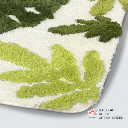 พรมเช็ดเท้ายาว EXPRESS CARPET รุ่น AL6-8 ขนาด50X120 ซม. หนา 18-23 มม. สีเขียว _2