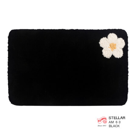 พรมเช็ดเท้าหน้าประตู EXPRESS CARPET รุ่น AM6-3 ขนาด45X70 ซม. หนา 20 มม. สีดำ _0