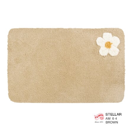 พรมเช็ดเท้าหน้าประตู EXPRESS CARPET รุ่น AM6-4 ขนาด45X70 ซม. หนา 20 มม. สีน้ำตาล _0