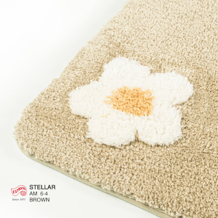 พรมเช็ดเท้าหน้าประตู EXPRESS CARPET รุ่น AM6-4 ขนาด45X70 ซม. หนา 20 มม. สีน้ำตาล _2
