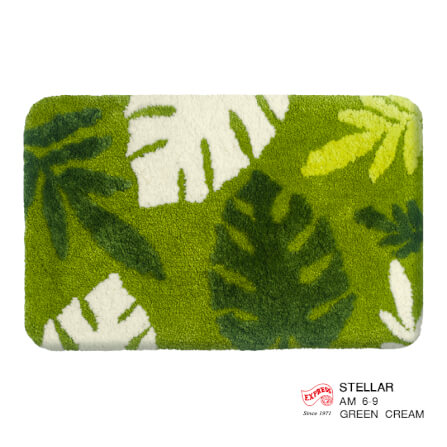 พรมเช็ดเท้าหน้าประตู EXPRESS CARPET รุ่น AM6-9 ขนาด45X70 ซม. หนา 18-23 มม. สีเขียว _0