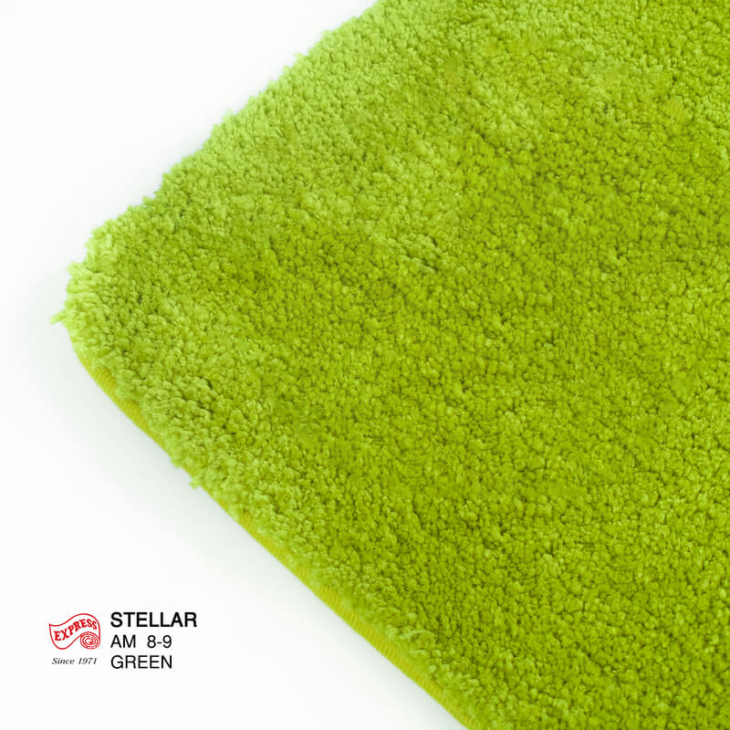 พรมเช็ดเท้าหน้าประตู EXPRESS CARPET รุ่น AM8-9 ขนาด45X70 ซม. หนา 20 มม. สีเขียว 