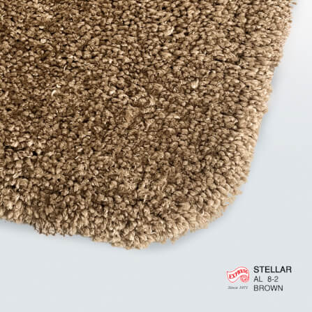 พรมเช็ดเท้ายาว EXPRESS CARPET รุ่น AL8-2 ขนาด50X120 ซม. หนา 20 มม. สีน้ำตาล _2