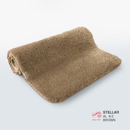 พรมเช็ดเท้ายาว EXPRESS CARPET รุ่น AL8-2 ขนาด50X120 ซม. หนา 20 มม. สีน้ำตาล _3