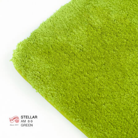 พรมเช็ดเท้าหน้าประตู EXPRESS CARPET รุ่น AM8-9 ขนาด45X70 ซม. หนา 20 มม. สีเขียว _2