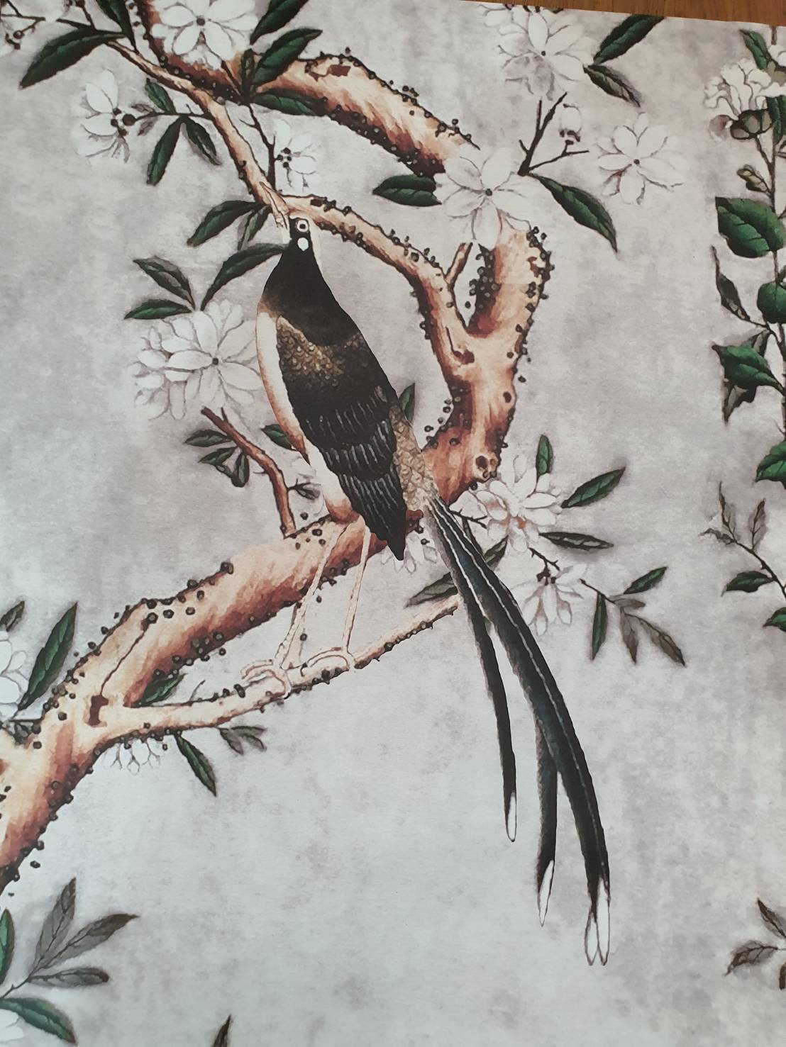 วอลเปเปอร์ OWLS WALLPAPERS ลายนกคู่ ขนาด 1.45 X 1.57 เมตร