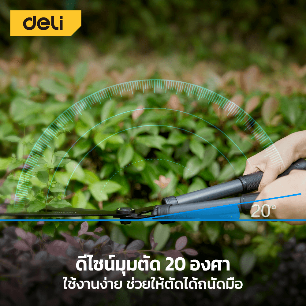 กรรไกรตัดกิ่ง DELI EDL-YL1002-GN-01 64-84 ซม._3