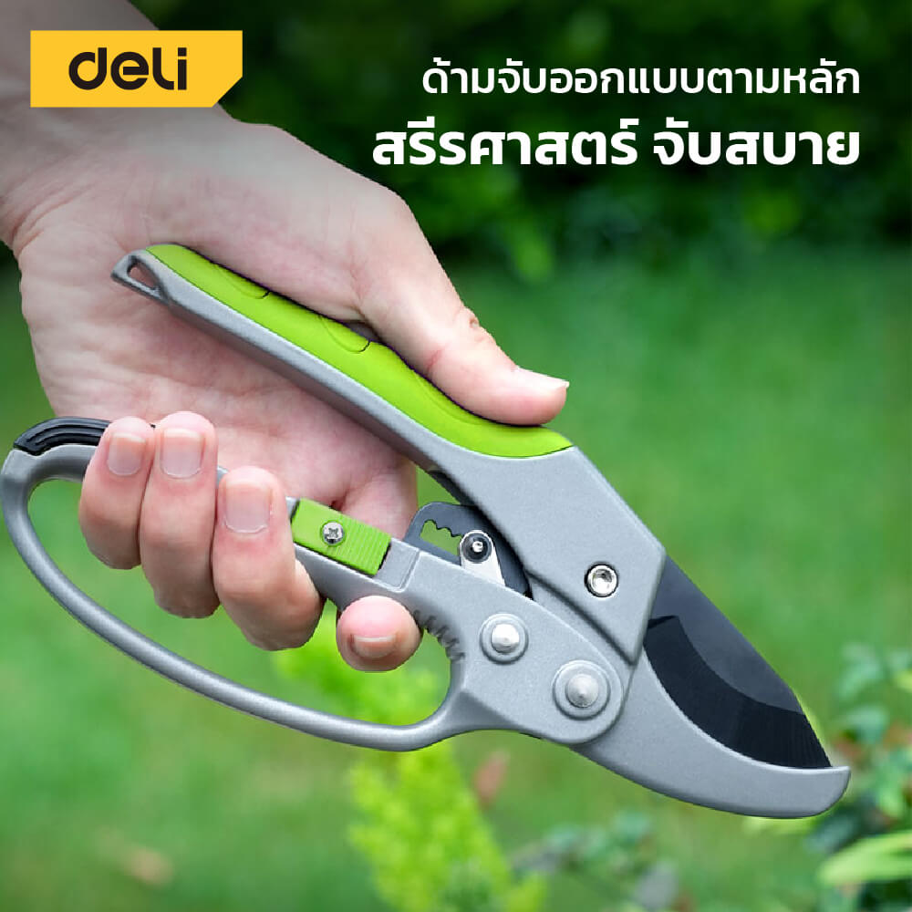 กรรไกรตัดกิ่ง DELI EDL580229-GN-01 8นิ้ว สีเทา
