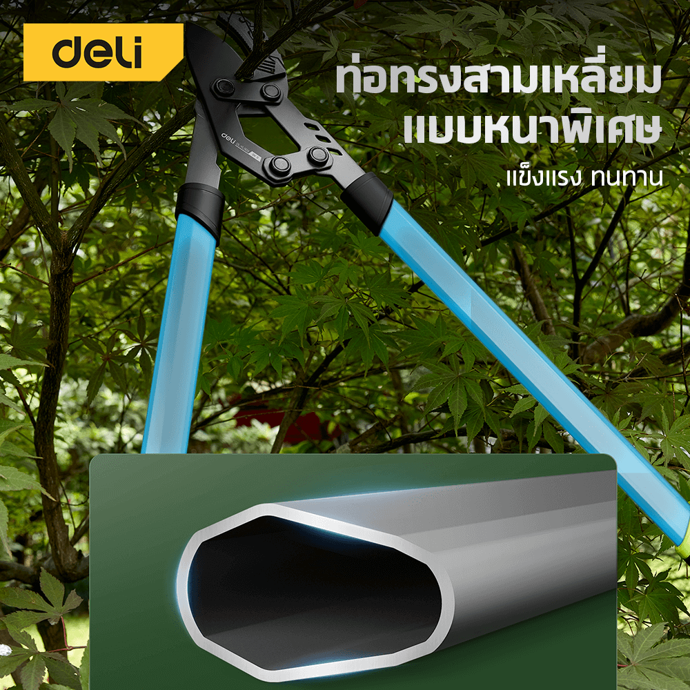 กรรไกรตัดกิ่งไม้ด้ามยาว DELI EDL-YL1101-GN-01 68 ซม._5