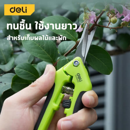 กรรไกรตัดกิ่ง DELI EDLE580120-GN-01 6.5 นิ้ว_1