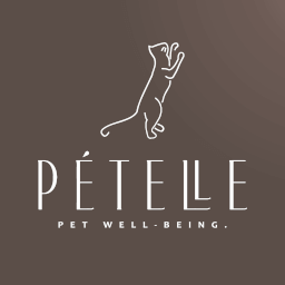 https://static.homepro.co.th/seller/shop/2235/resize_256x256_1763521790775-logopetelle300x300px-01.png